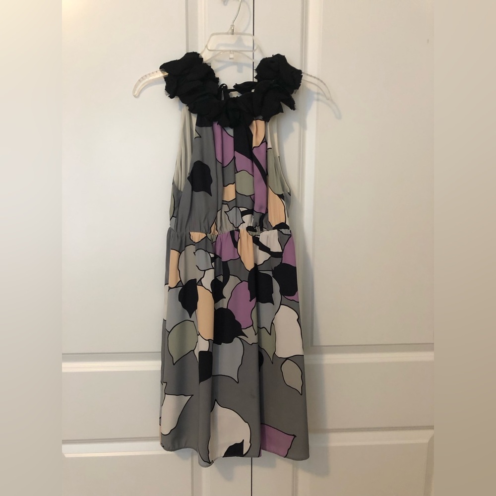 Alice & Trixie 100% silk dress size small used. Good condition.